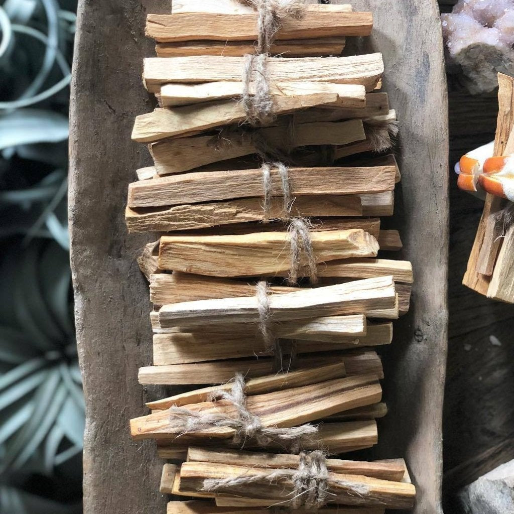 palo santo plant seeds Palo Santo Bundle – SEED TO STEM