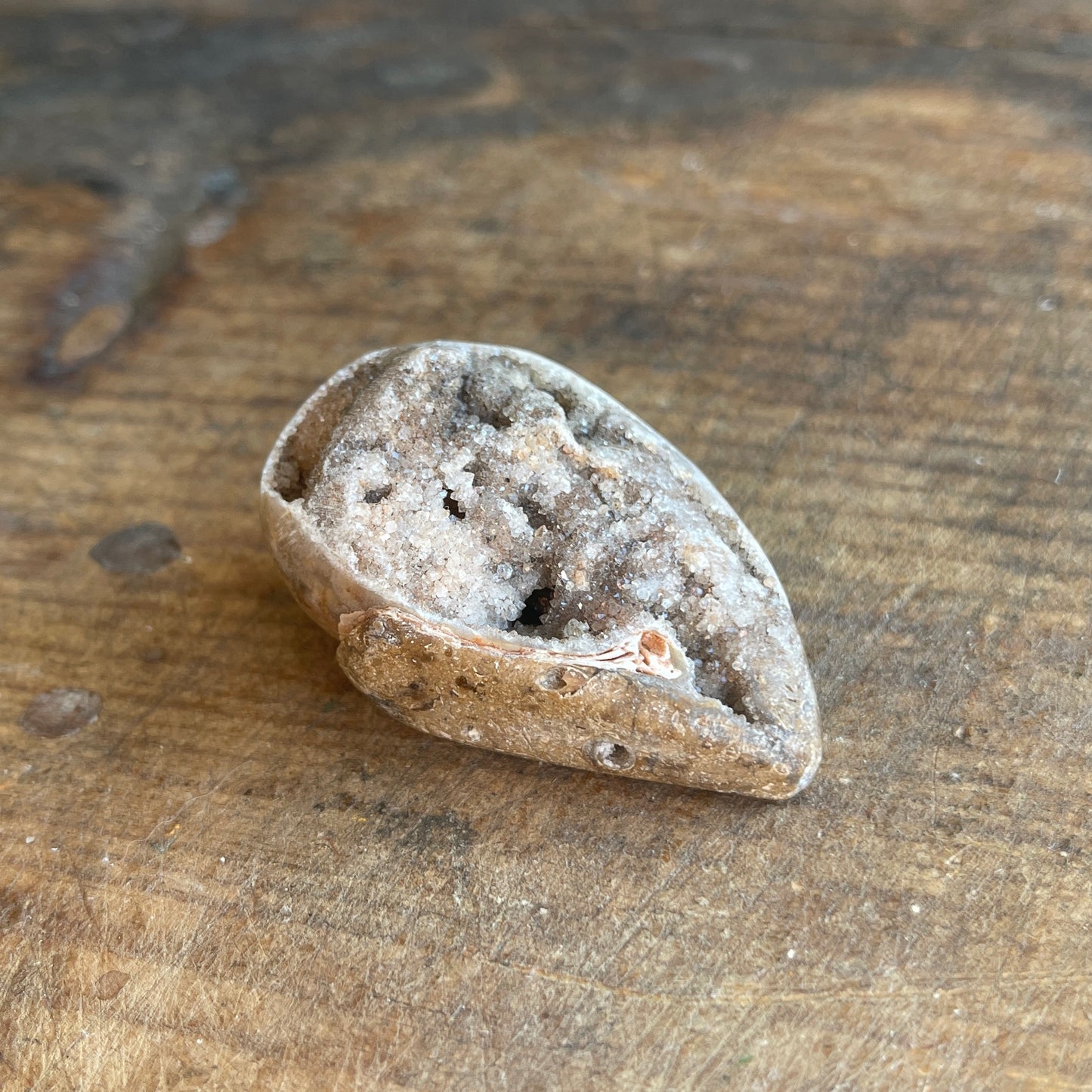 Mineral crystal in a shell on a wooden surface