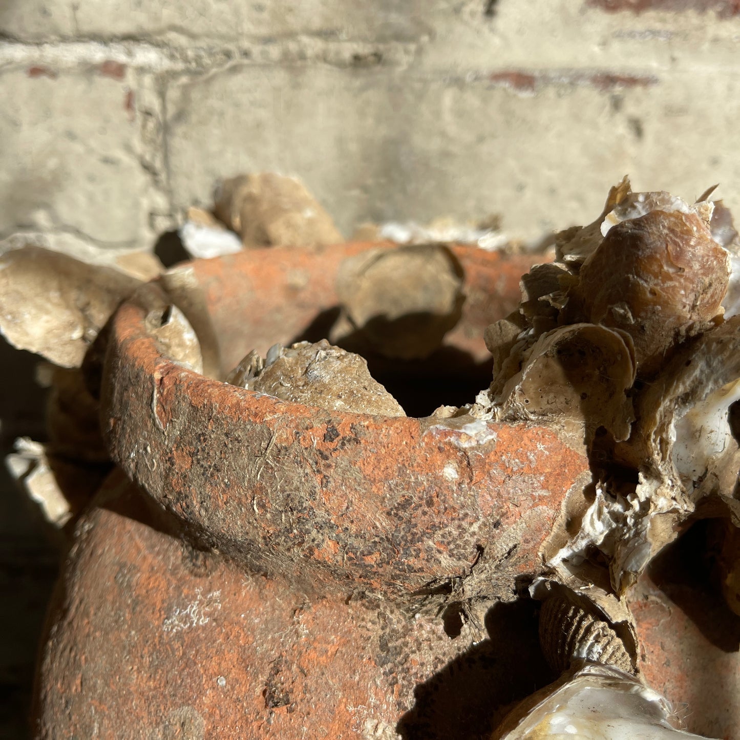 Terracotta pot with dried oysters attached, against a textured brick wall.