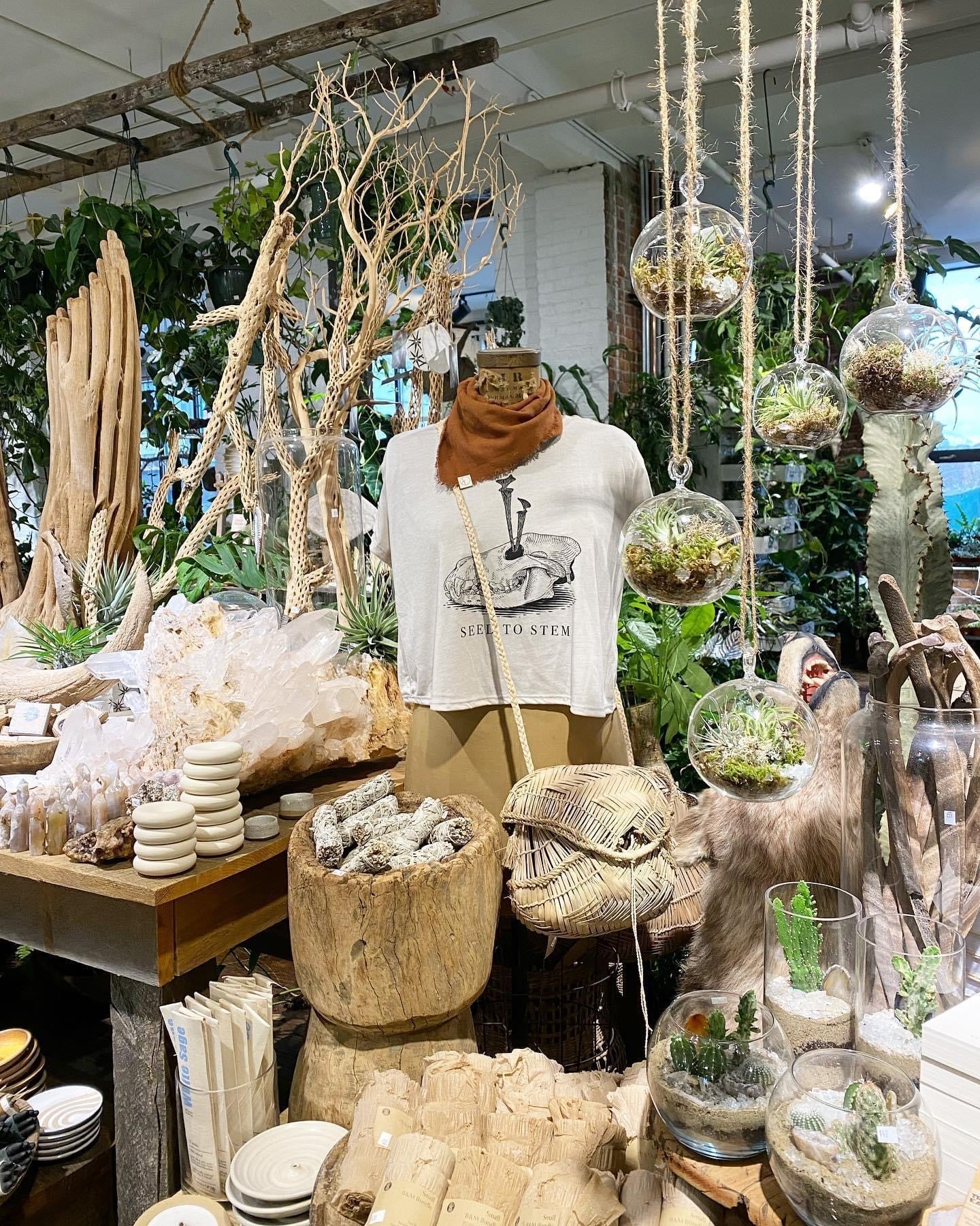 Clothing + Accessories