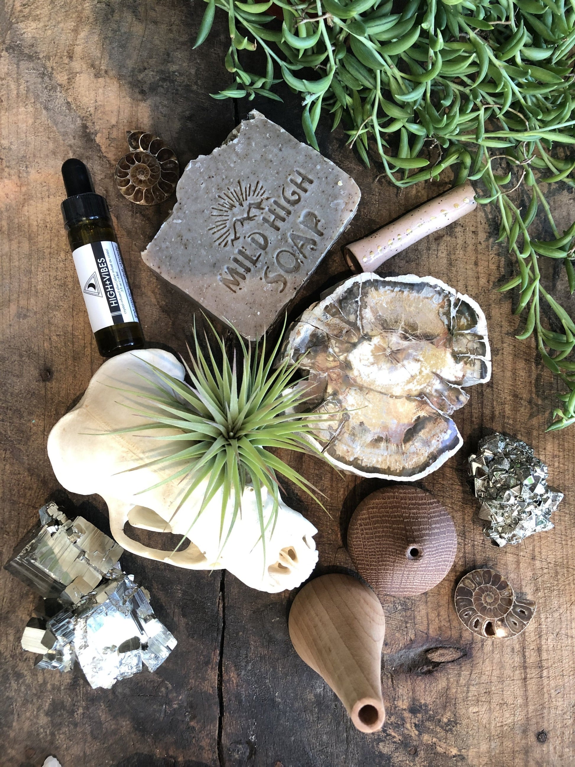 A variety of items including a skull, airplant, crystals, a plant, home decor, bath and body products, soap, all laid out on a wooden surface.