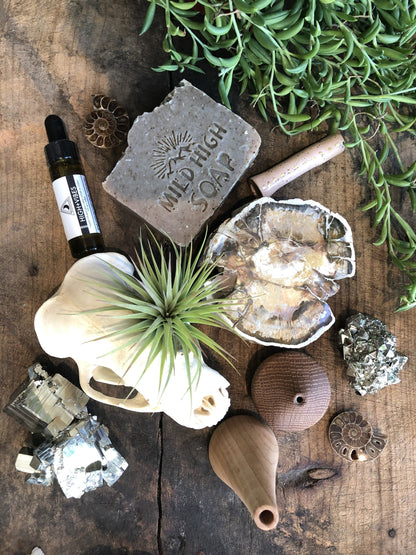 A variety of items including a skull, airplant, crystals, a plant, home decor, bath and body products, soap, all laid out on a wooden surface.