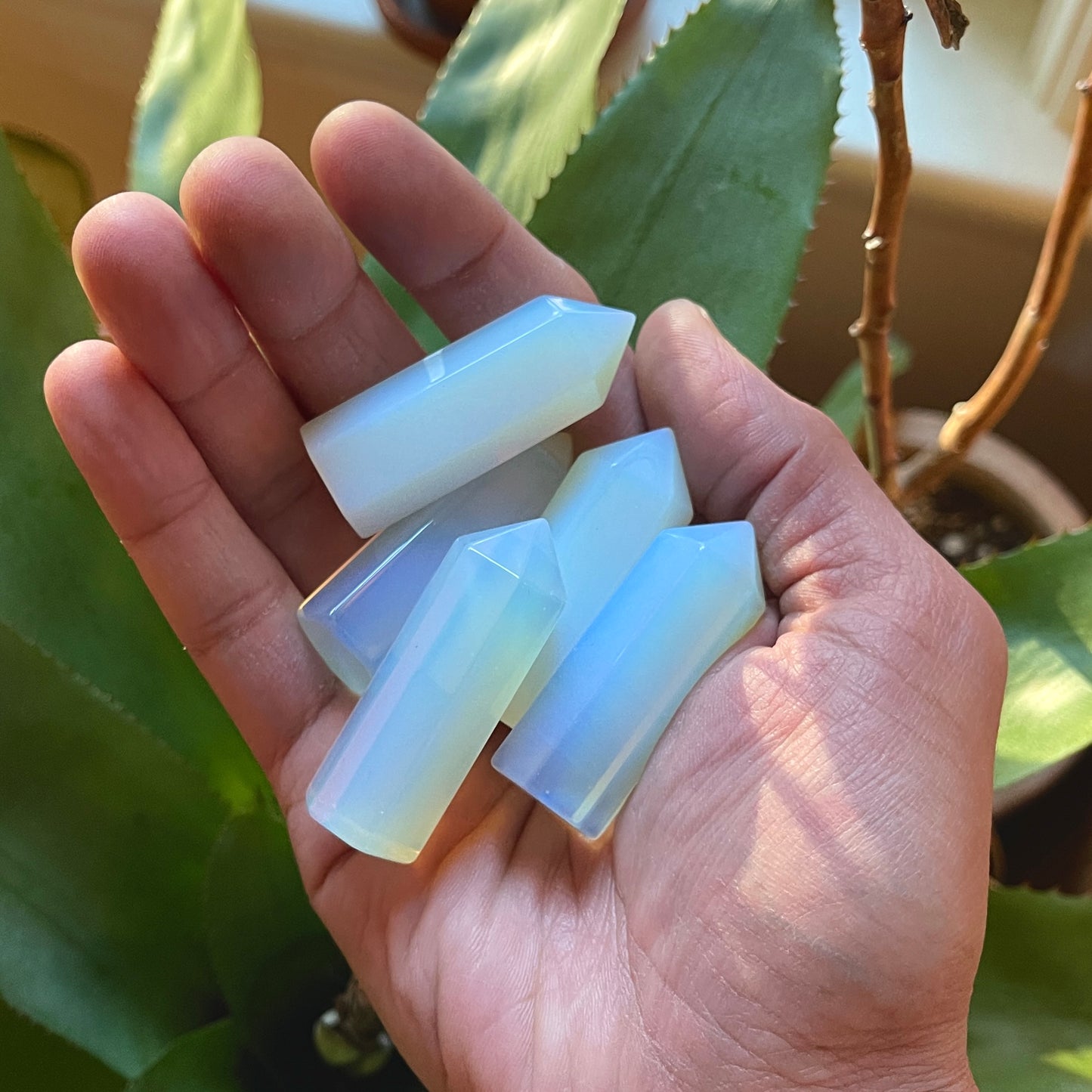 A hand holding a collection of opalite points