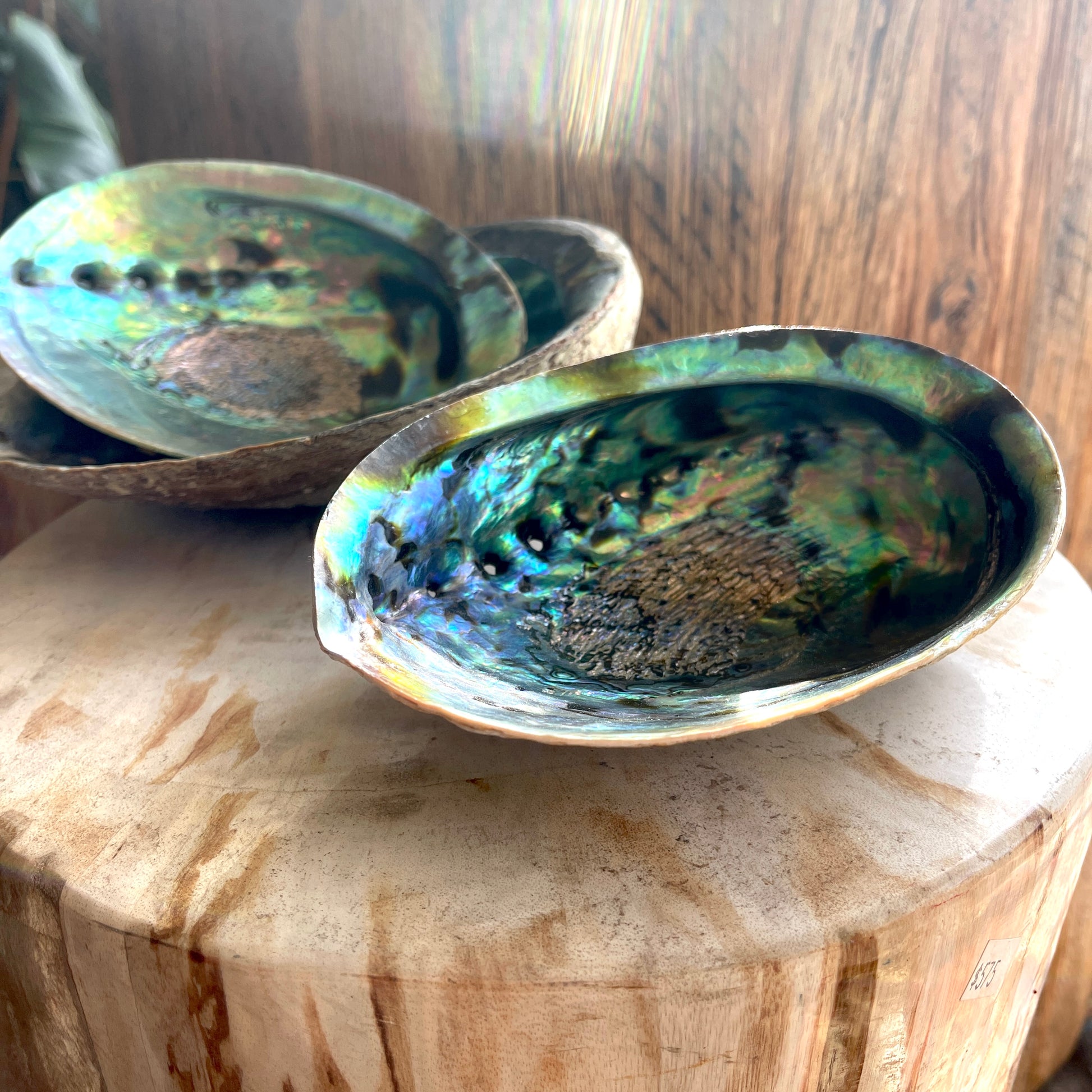 Multiple abalone shells on a wooden surface with a blurred background