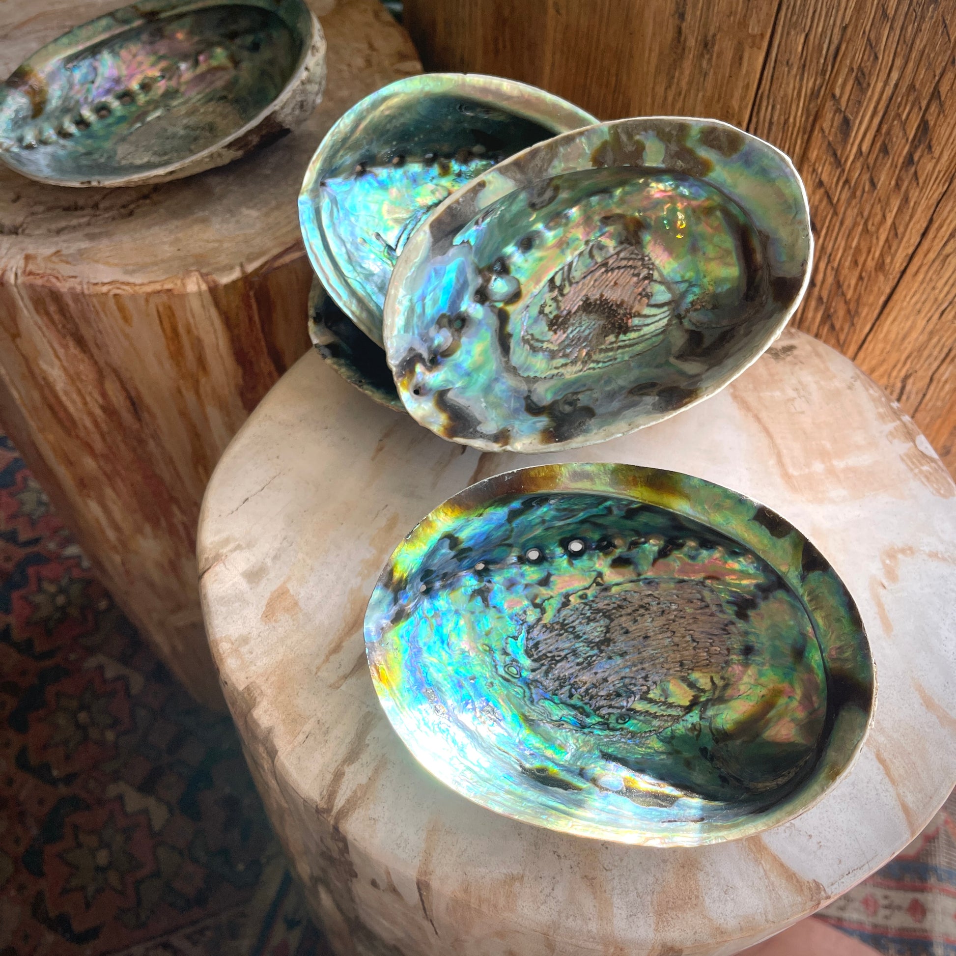 Iridescent abalone shells on a wooden surface