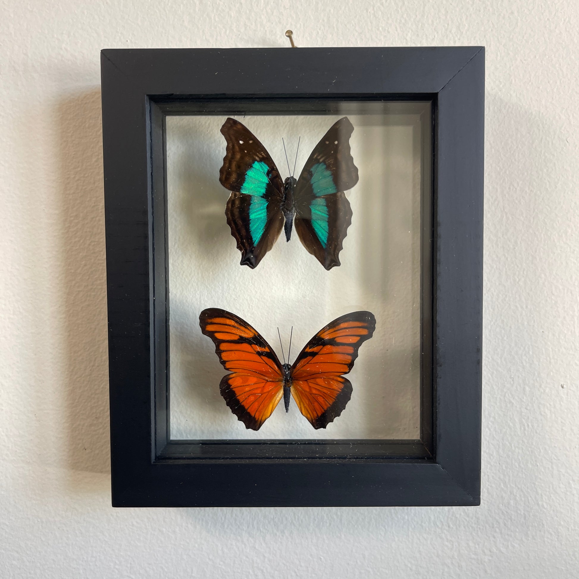 Two framed butterflies, one with green wings and the other with orange wings, on a light background.