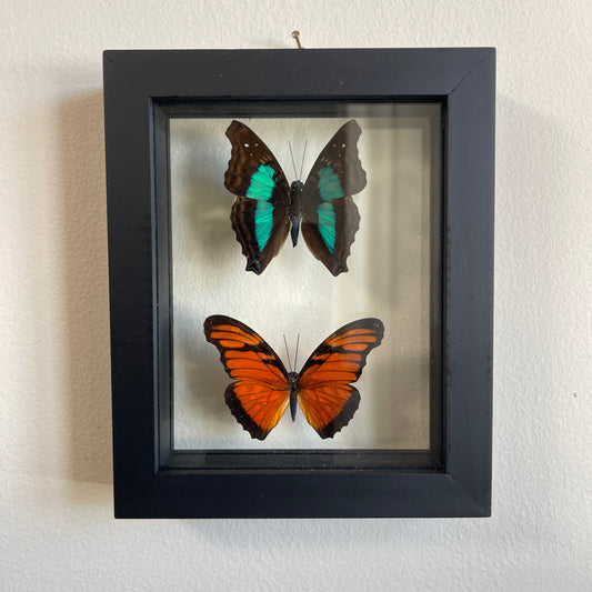 Two framed butterflies, one with green wings and the other with orange wings, on a light background.