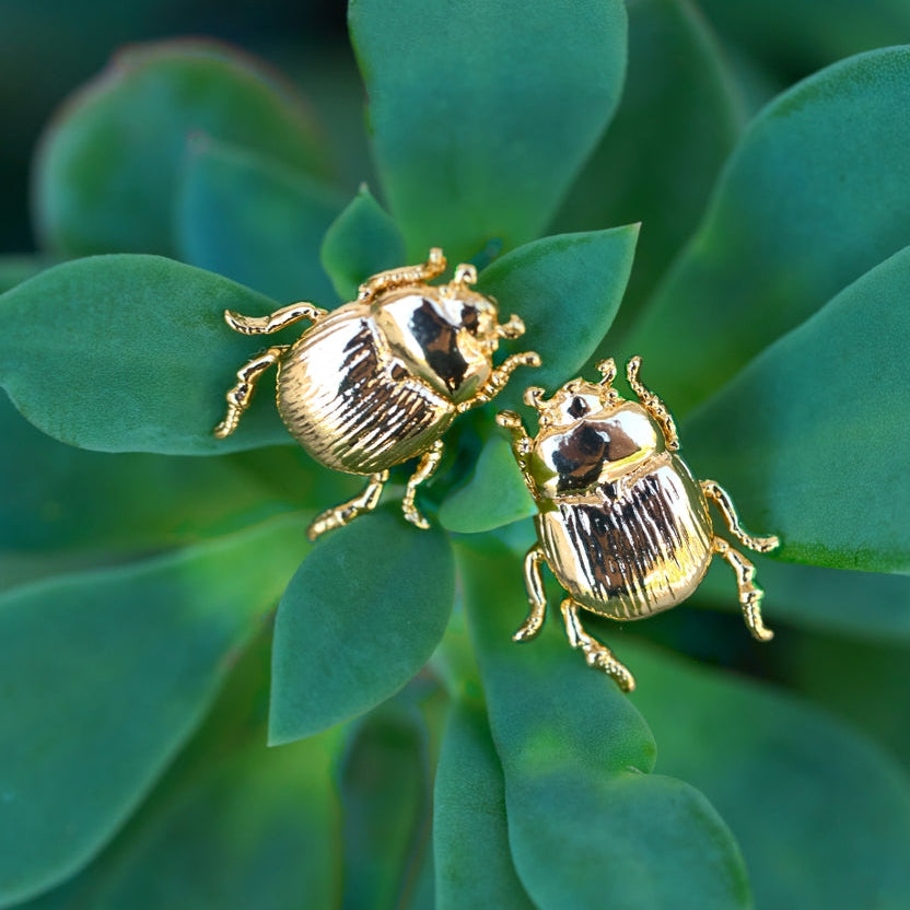 Gold beetle-shaped earrings on green leaves
