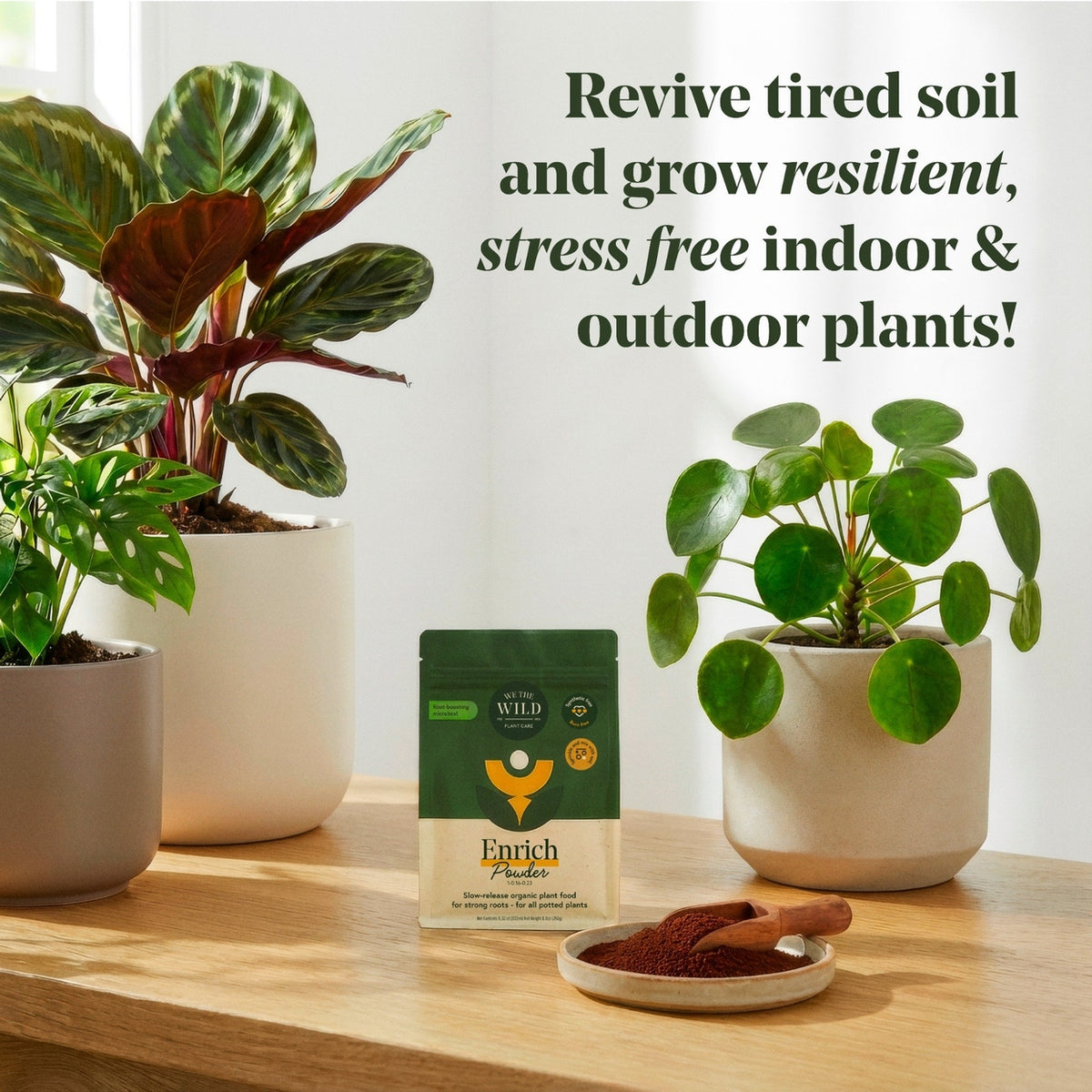 Potted plants on a table with Enrich Minerals product and text about plant care.
