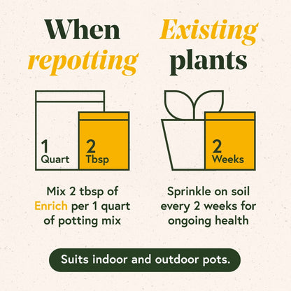 Instructions for repotting plants with measurements and timing on a beige background