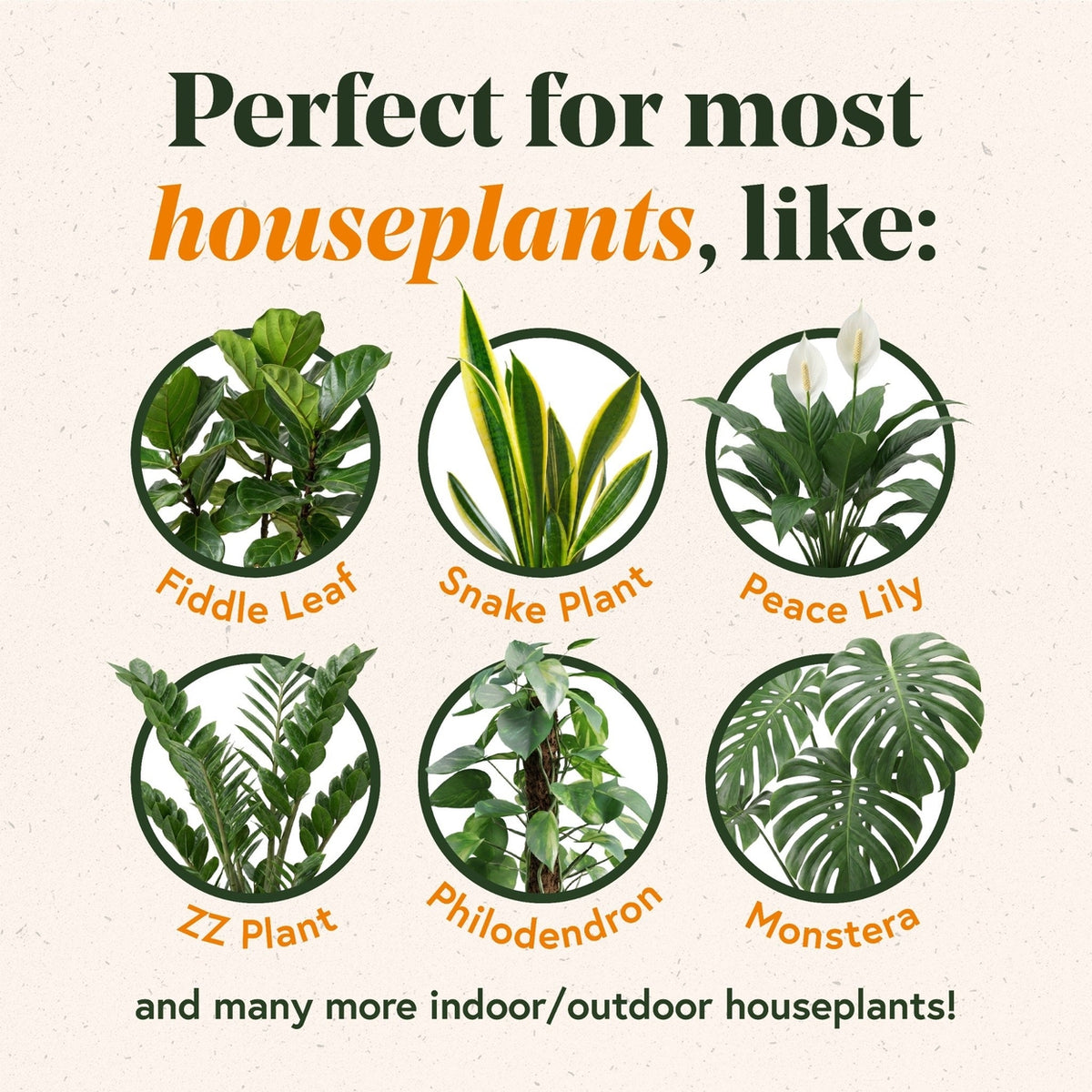 Advertisement for houseplants with images of various plants and text indicating compatibility.
