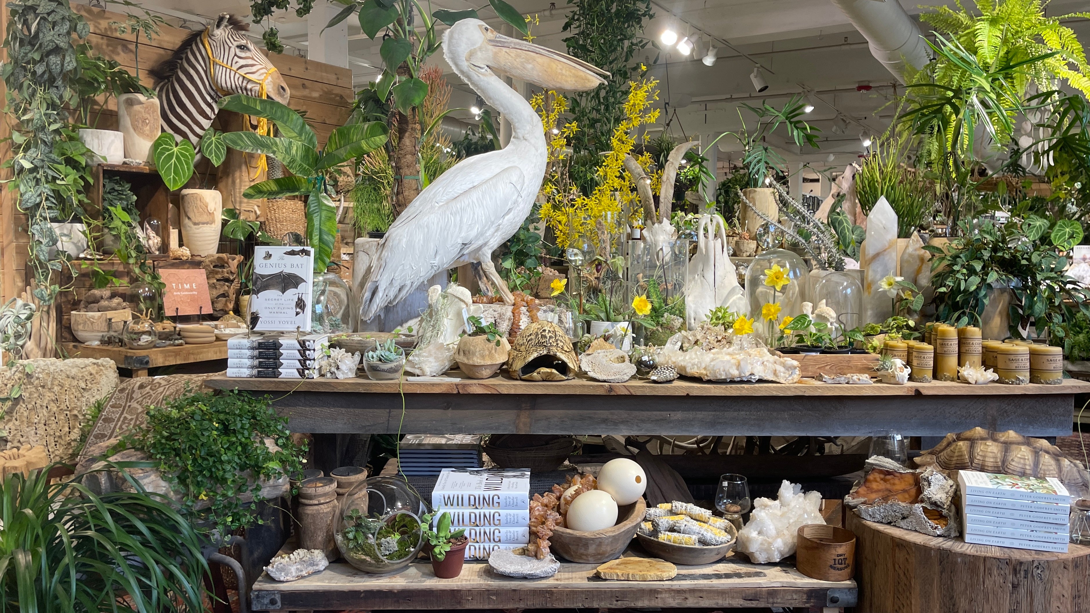 Decorative store interior with large white bird sculpture, plants, and various items on a wooden table.