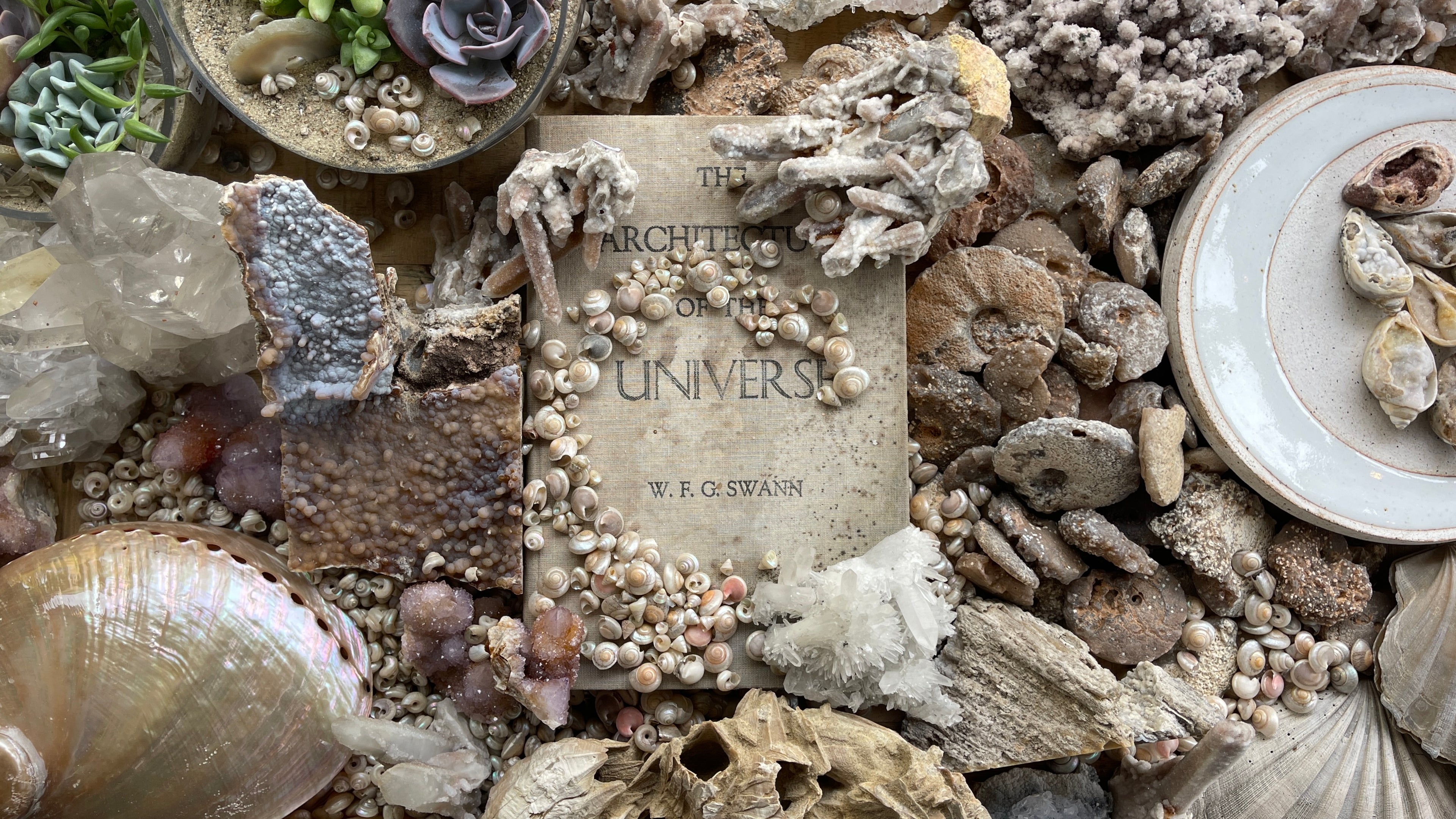 Book titled 'The Architect of the Universe' by W.G. Swan surrounded by rocks, shells, and plants.