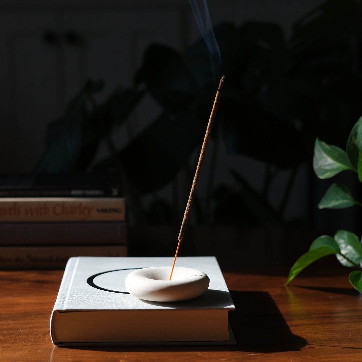 Incense stick burning on a white dish with a blurred background