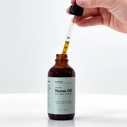 A hand holds a glass dropper above an amber glass bottle labeled Neem Oil, with the dropper containing yellow oil about to be dispensed into the bottle. The bottle has a white label and a black cap, set against a clean white background.