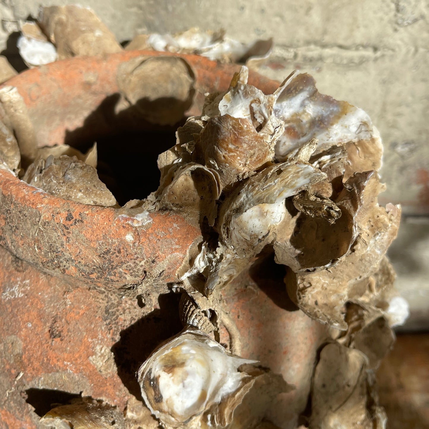 Terracotta pot with dried oysters attached, against a textured brick wall.