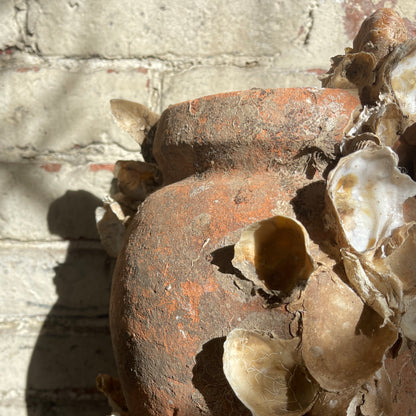 Terracotta pot with dried oysters attached, against a textured brick wall.