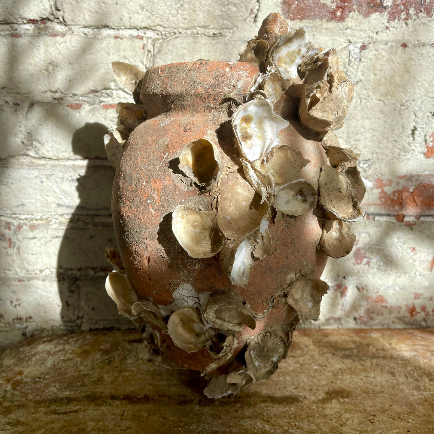 Terracotta pot with dried oysters attached, against a textured brick wall.
