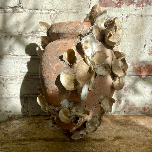 Terracotta pot with dried oysters attached, against a textured brick wall.
