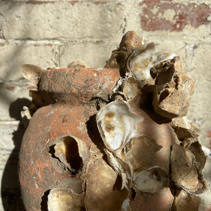 Terracotta pot with dried oysters attached, against a textured brick wall.
