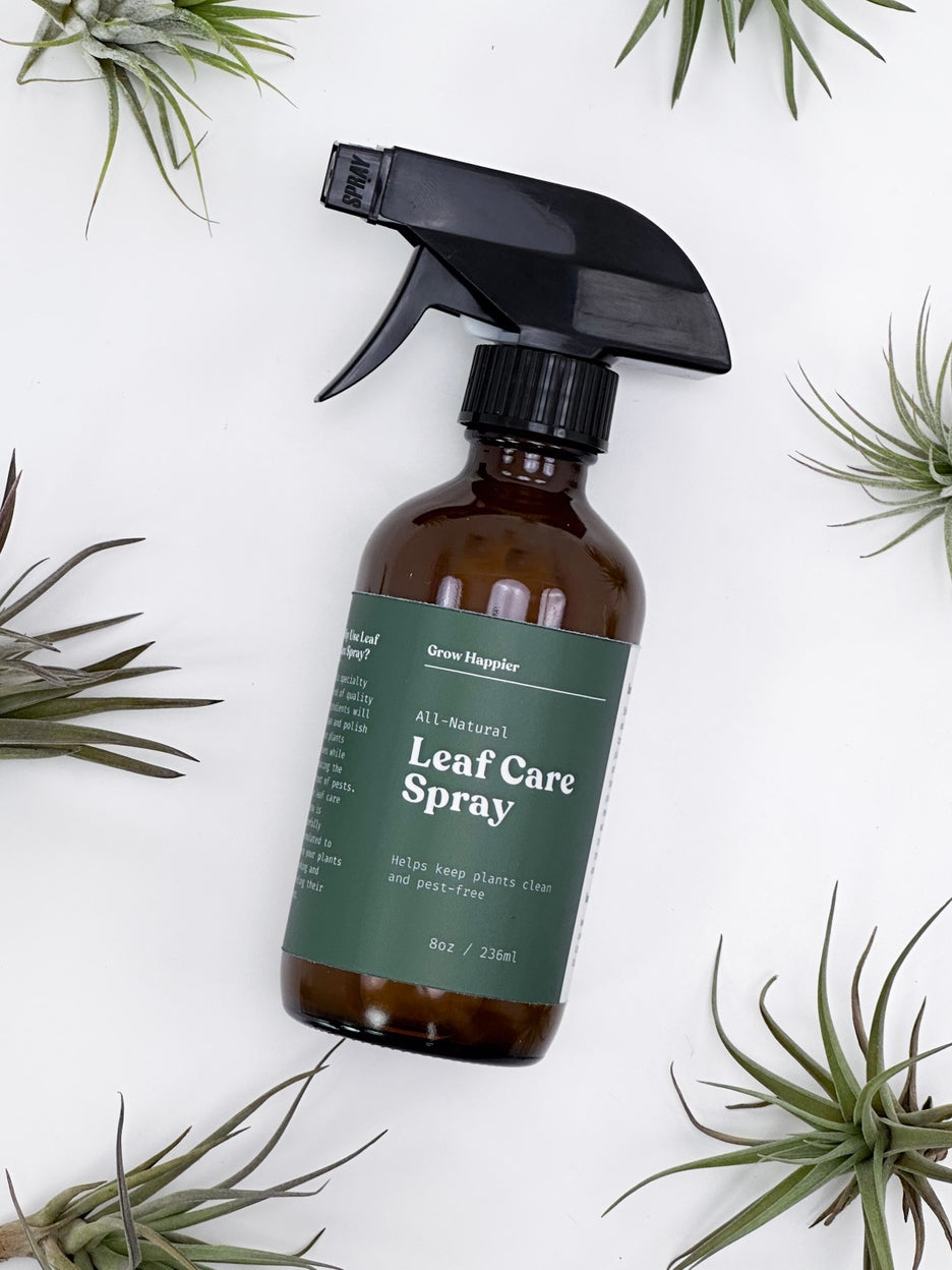 Brown spray bottle labeled 'Leaf Care Spray' surrounded by air plants on a white background