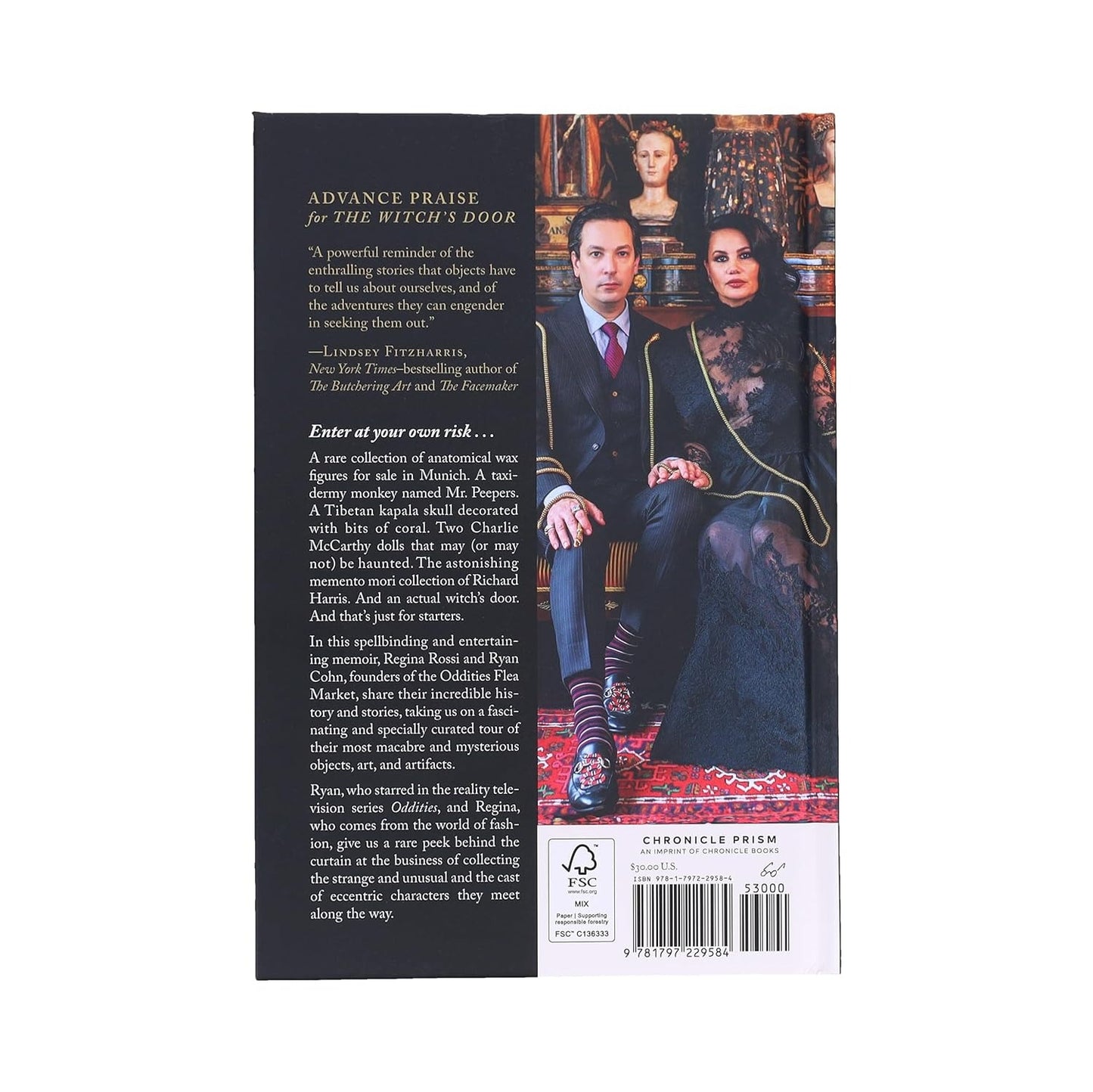 Book back cover with two people holding hands in a fantasy setting