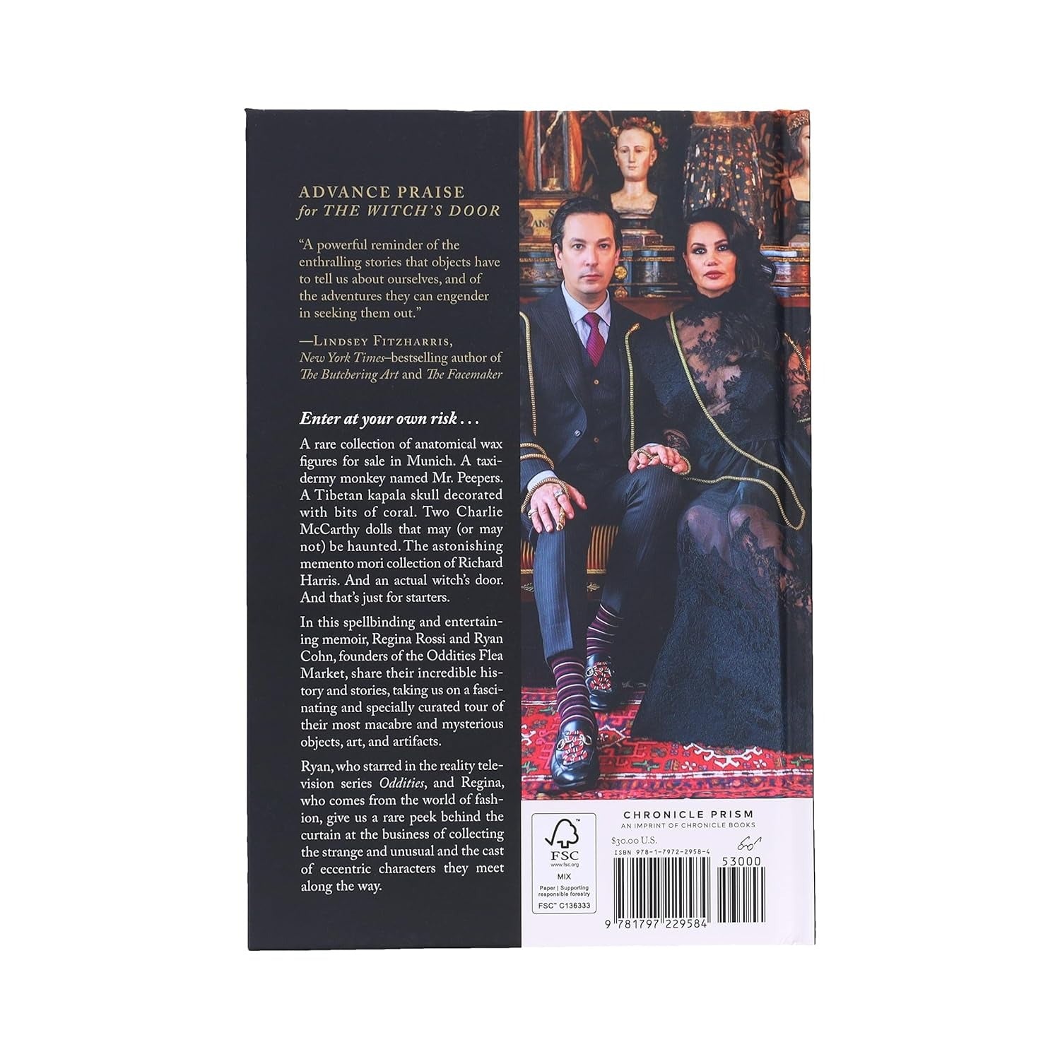 Book back cover with two people holding hands in a fantasy setting