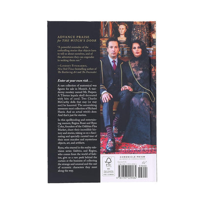 Book back cover with two people holding hands in a fantasy setting