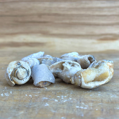 A collection of fossilized druzzy shells on a wooden surface, appearing gray and encrusted with quartz.