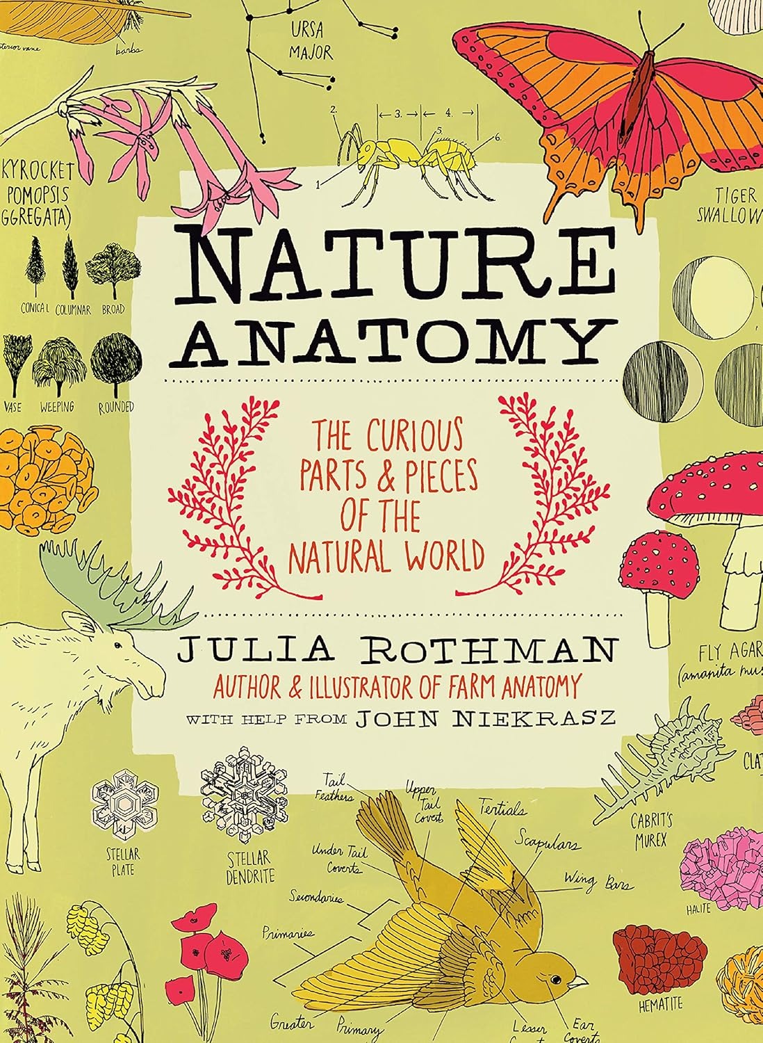 Book cover of 'Nature Anatomy' with illustrations of plants, animals, and insects on a green background.
