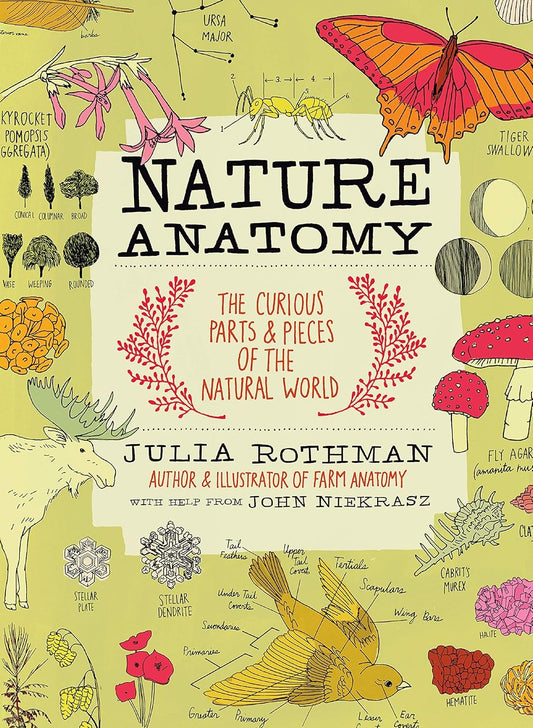 Book cover of 'Nature Anatomy' with illustrations of plants, animals, and insects on a green background.