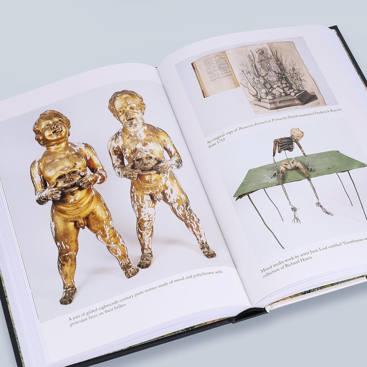 Open book with illustrations of classical statues and a diagram on a light gray background